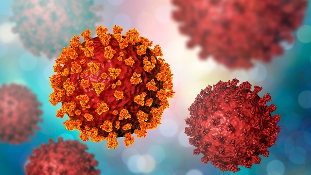 Color Microcopic view of Coronavirus